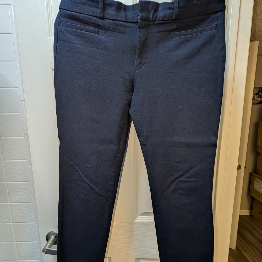 Banana Republic Navy Straight Leg Pants